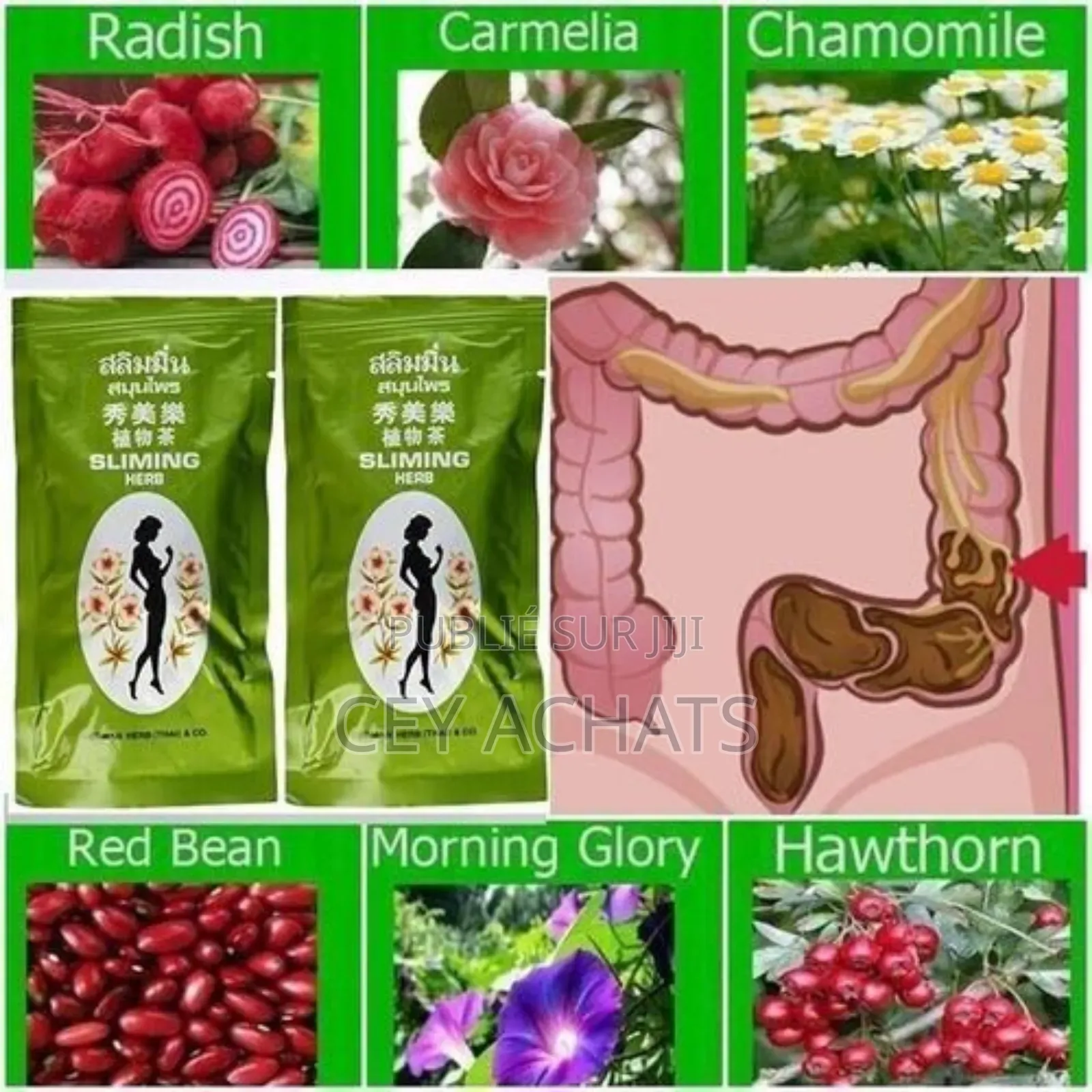 Thé Minceur Sliming Herb