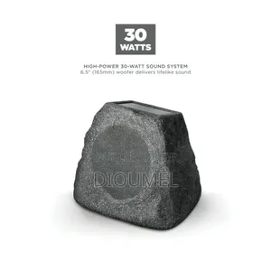 Haut Parleur Bluetooth Ion Audio