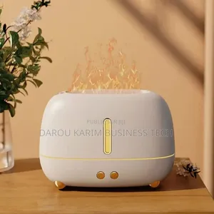 Photo - Diffuseur Électrique