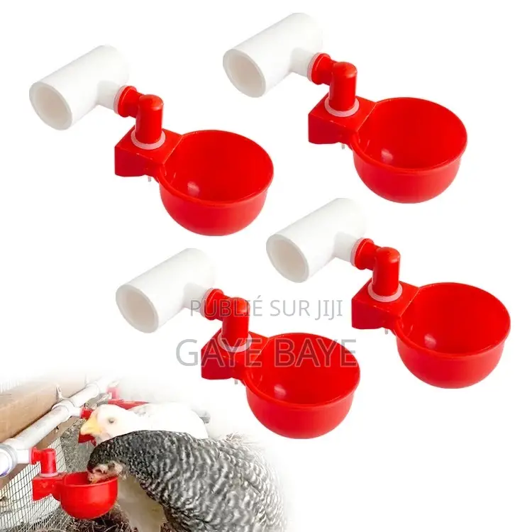 Abreuvoir Automatique