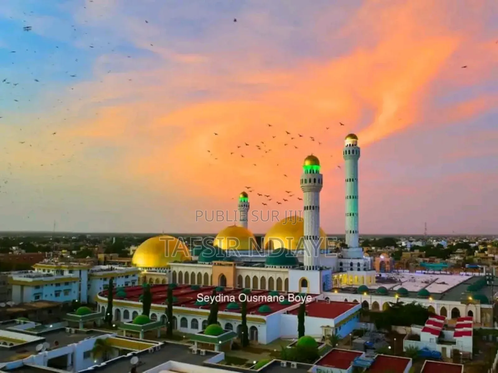 Terrain A Vendre Dans La Région De Thiès Signé Par Le Maire