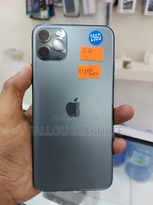 New Pomme iPhone 12 Pro Max 256 GB Autre