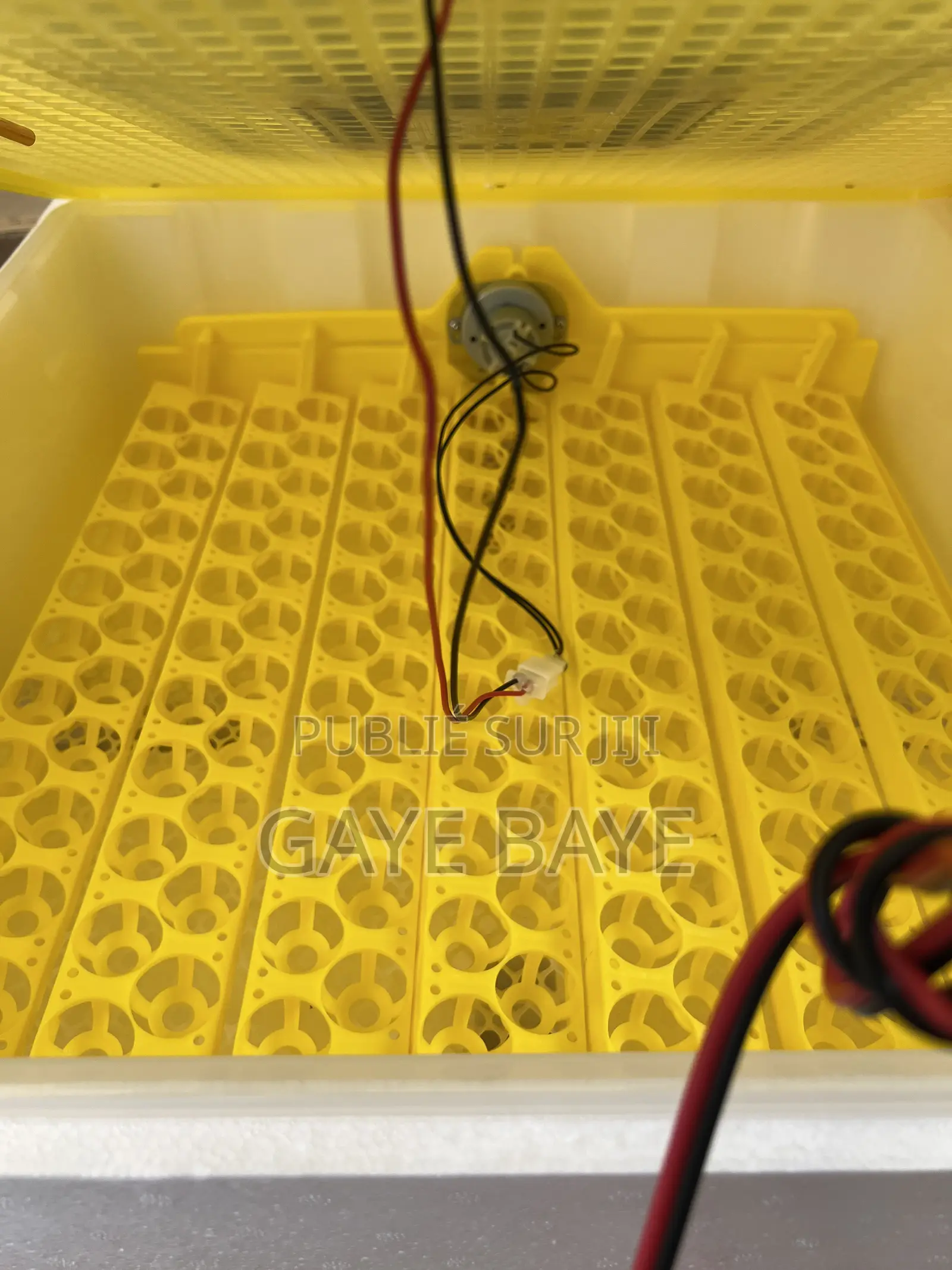 Couveuse Automatique Pour Œufs De Cailles