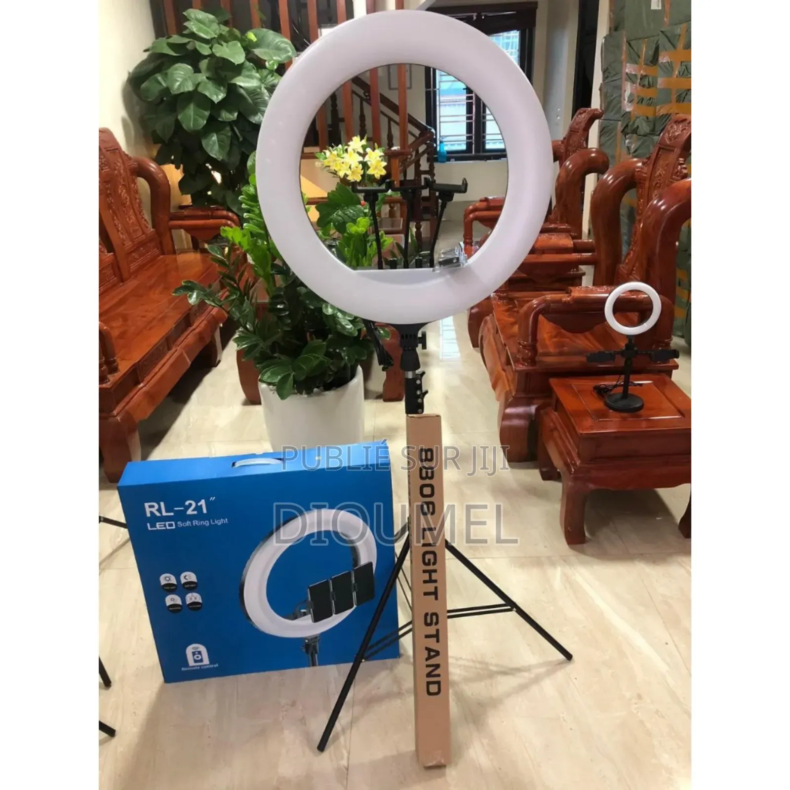 Ring Light Professionnel