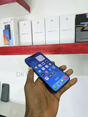 Apple iPhone 15 Pro Max 256 GB Autre