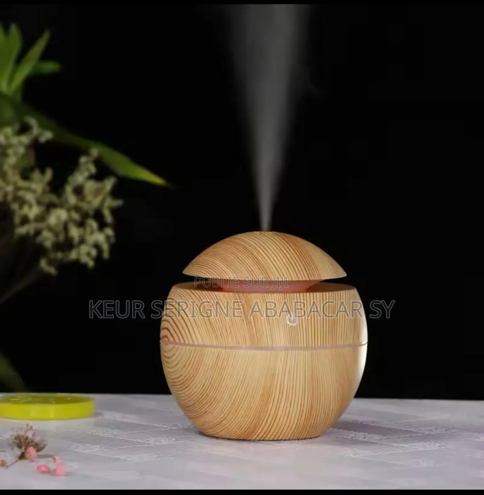 Diffuseur Électrique