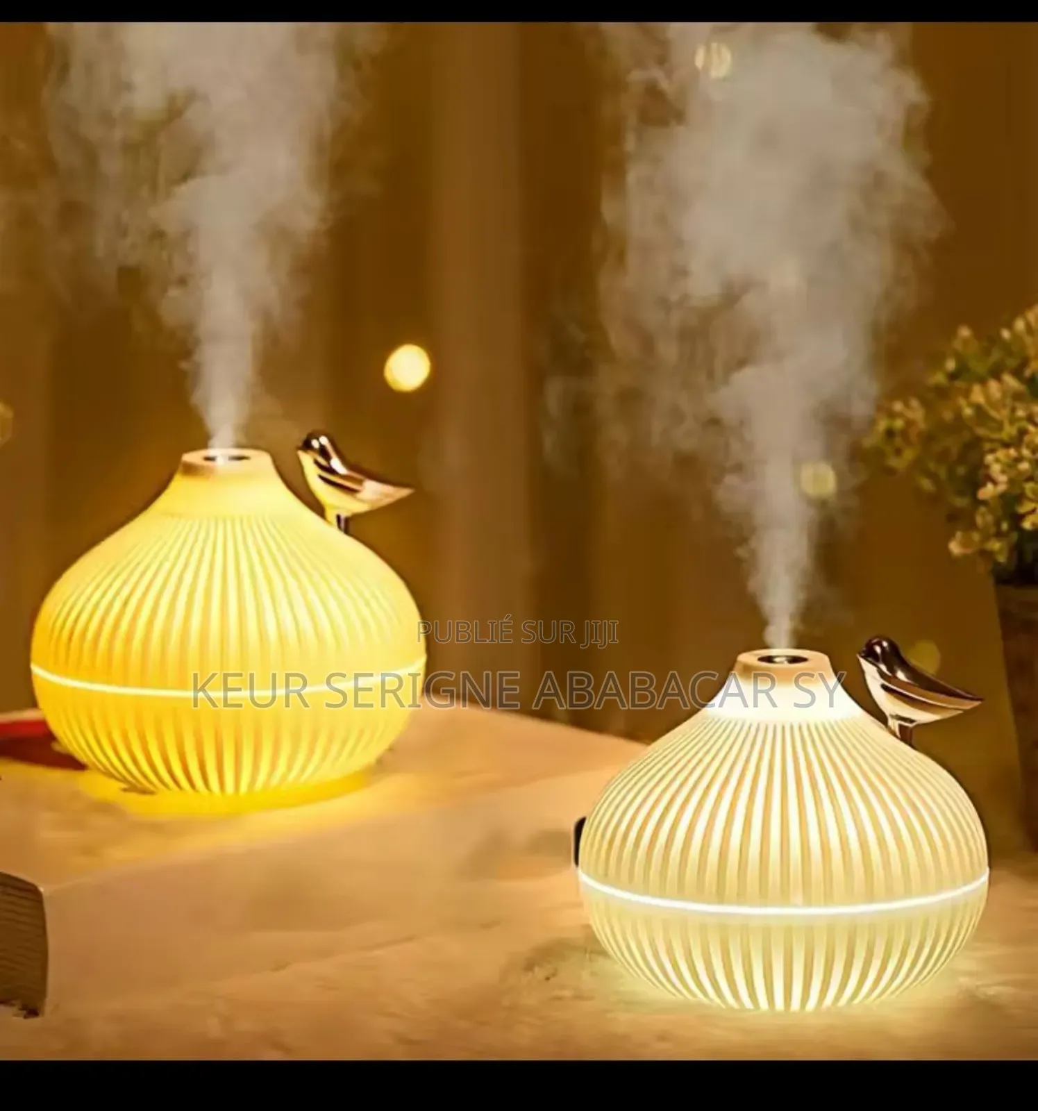 Mini Humidificateur d'Air H2O Portable, Diffuseur