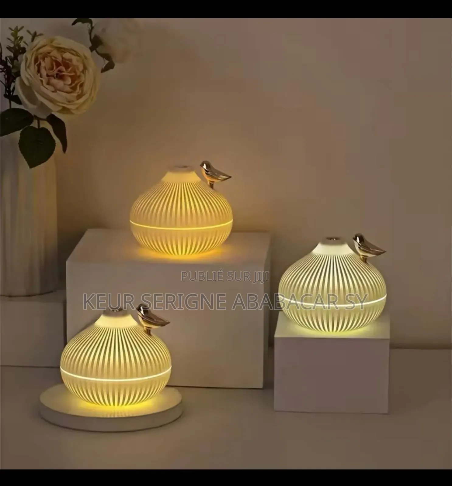 Mini Humidificateur d'Air H2O Portable, Diffuseur