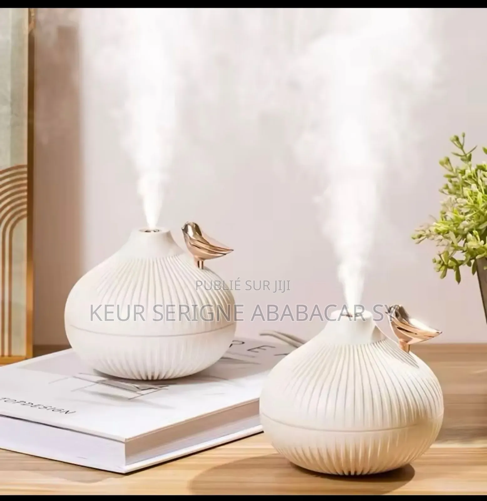 Mini Humidificateur d'Air H2O Portable, Diffuseur