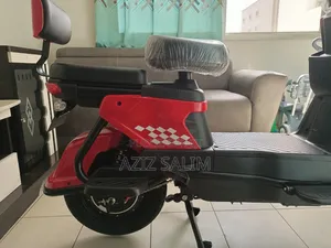 Scooter Électrique Rapide