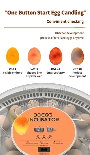Photo - Couveuse Automatique