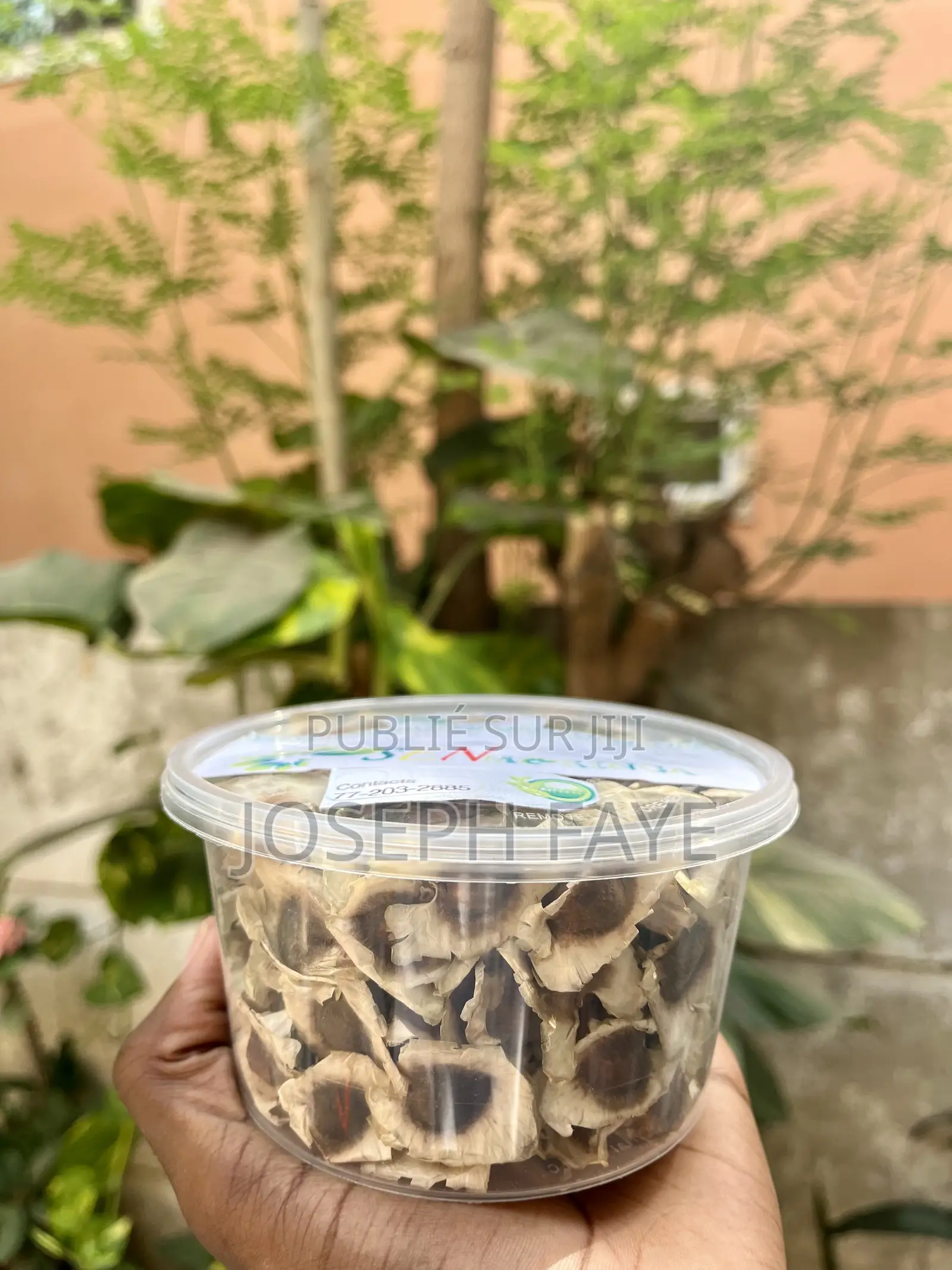 Moringa Complément Alimentaire