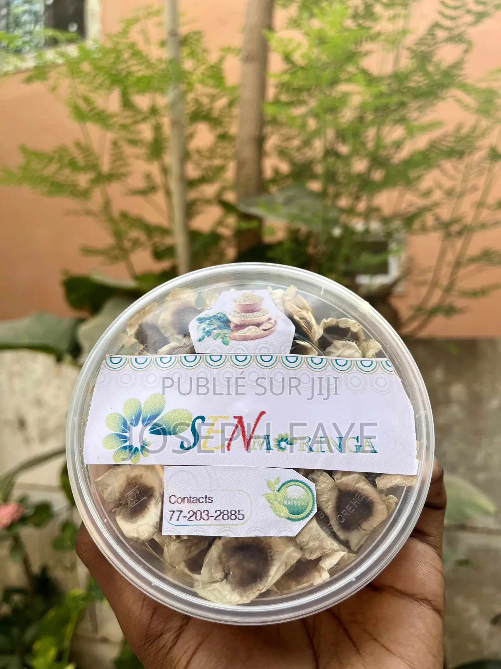 Moringa Complément Alimentaire