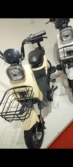 Scooter Électrique 2P