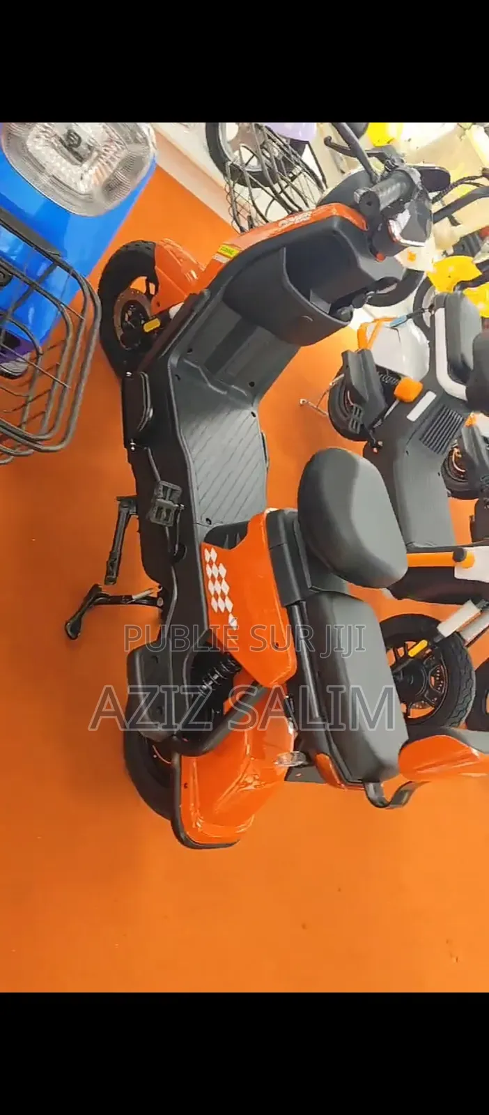 Scooter Électrique 2P