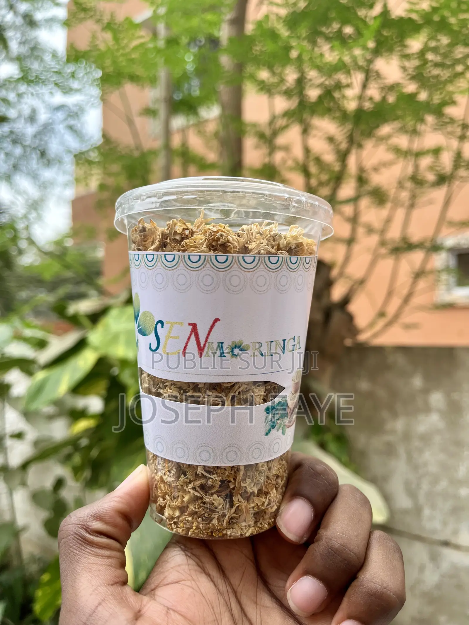 Moringa Complément Alimentaire