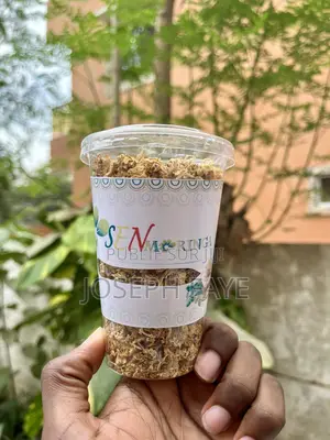 Moringa Complément Alimentaire