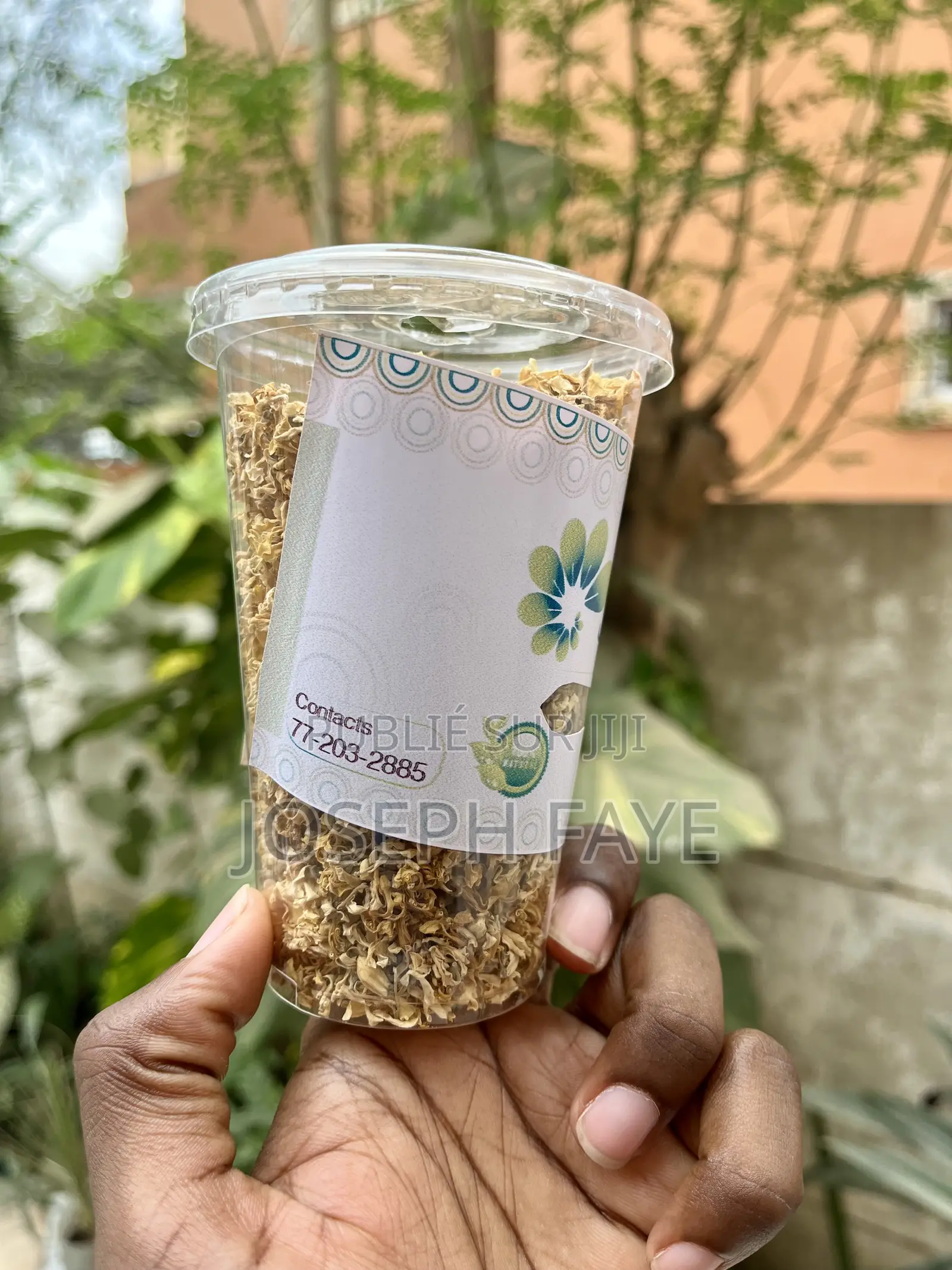 Moringa Complément Alimentaire
