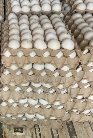 Photo - Tablette D'œuf