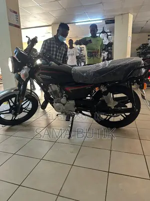 New Bajaj Avenger 150 Street 2020 Noir