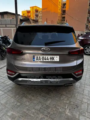 Hyundai Santa Fe 2019 Gris