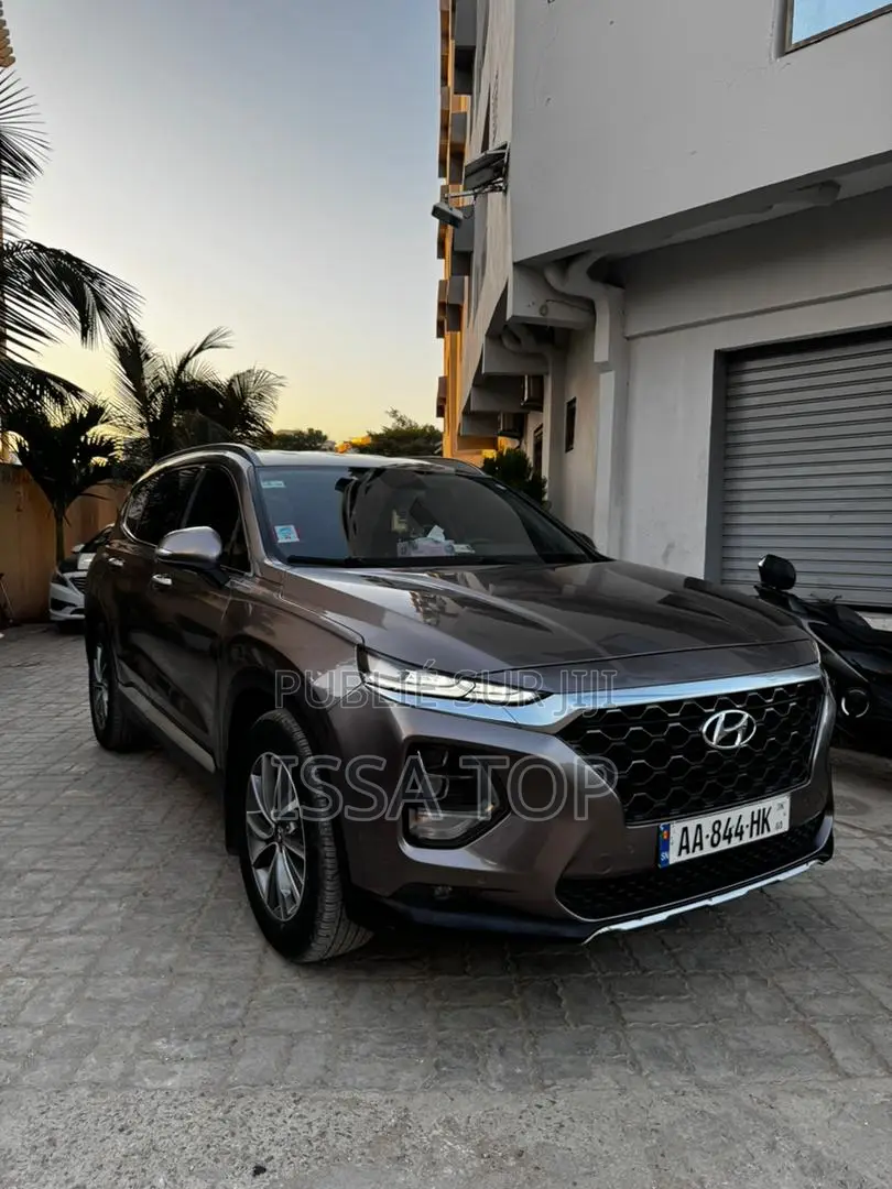 Hyundai Santa Fe 2019 Gris