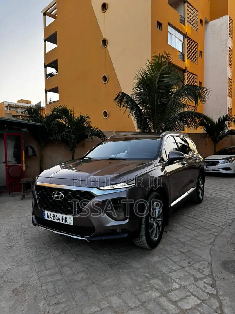 Hyundai Santa Fe 2019 Gris