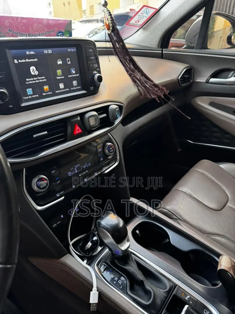 Hyundai Santa Fe 2019 Gris