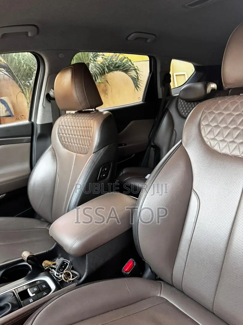 Hyundai Santa Fe 2019 Gris