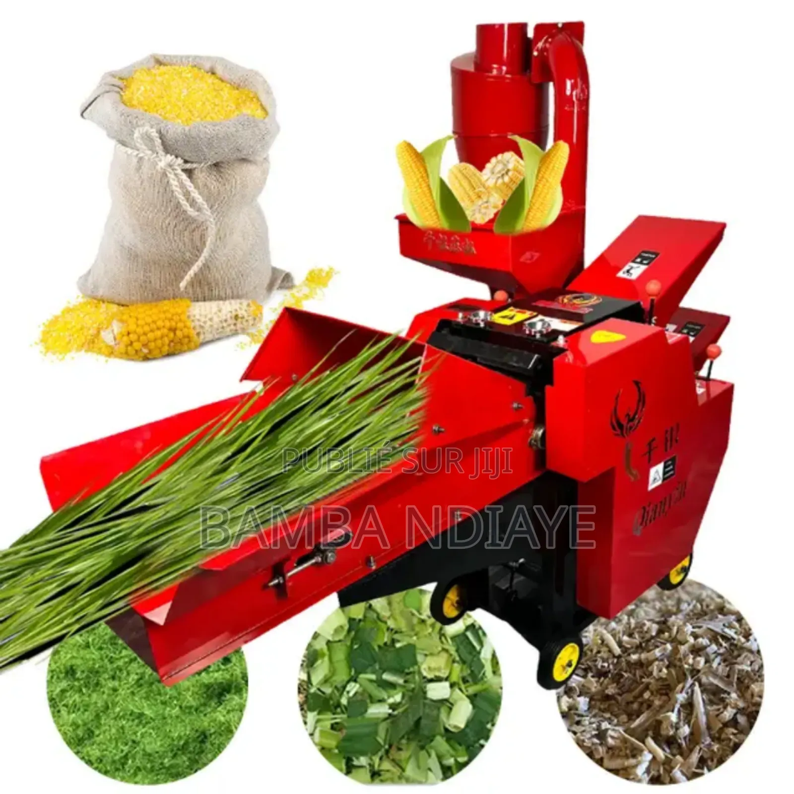 Dechicteuse Tiges, d'Herbes