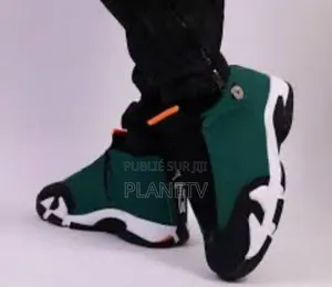 Photo - Jordan 14 Multi Color Ds