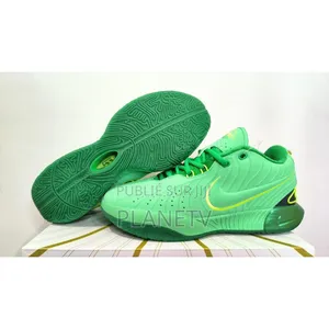 Lebron James 21 Multi Color Ds