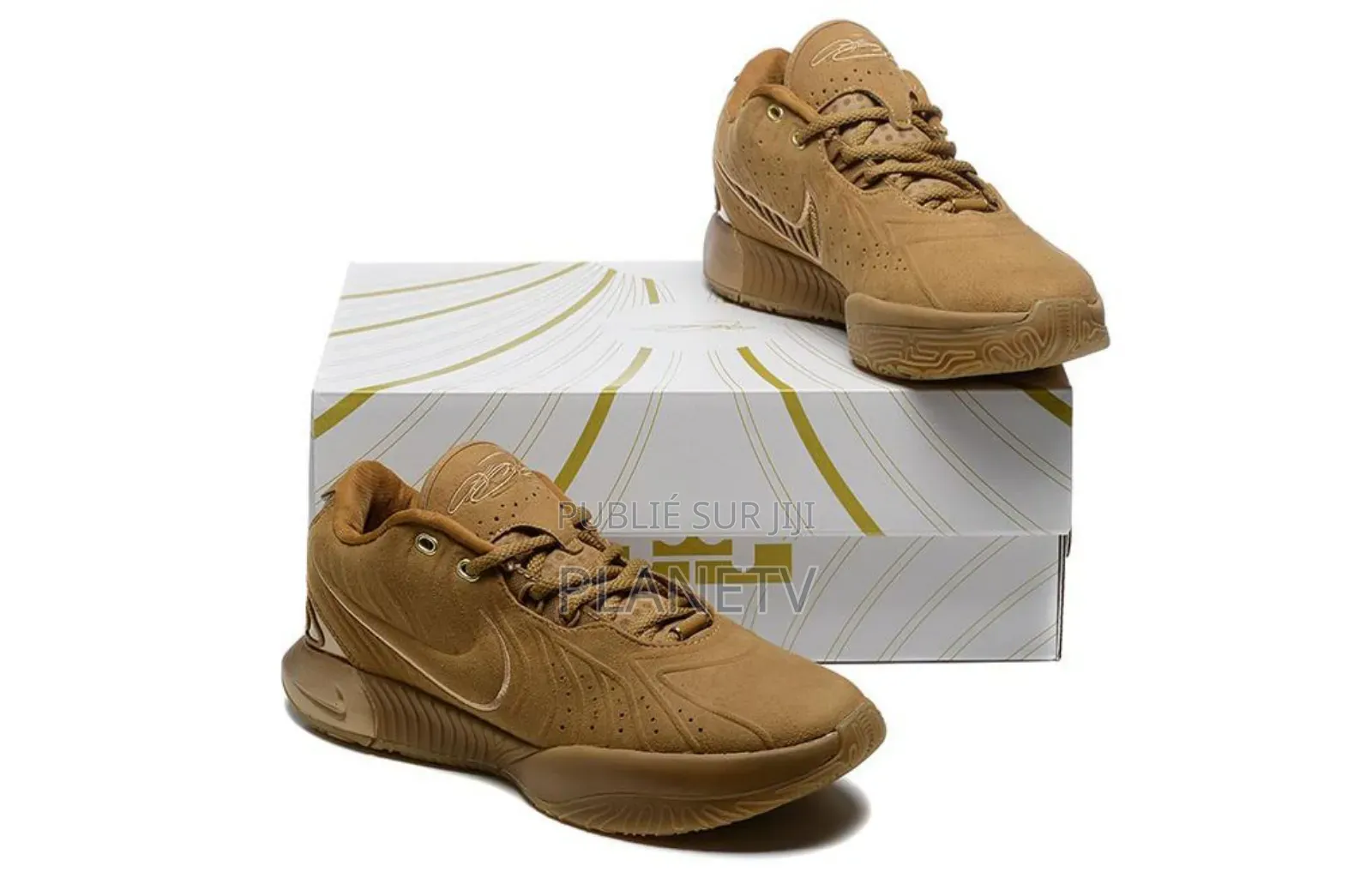 Lebron James 21 Multi Color Ds