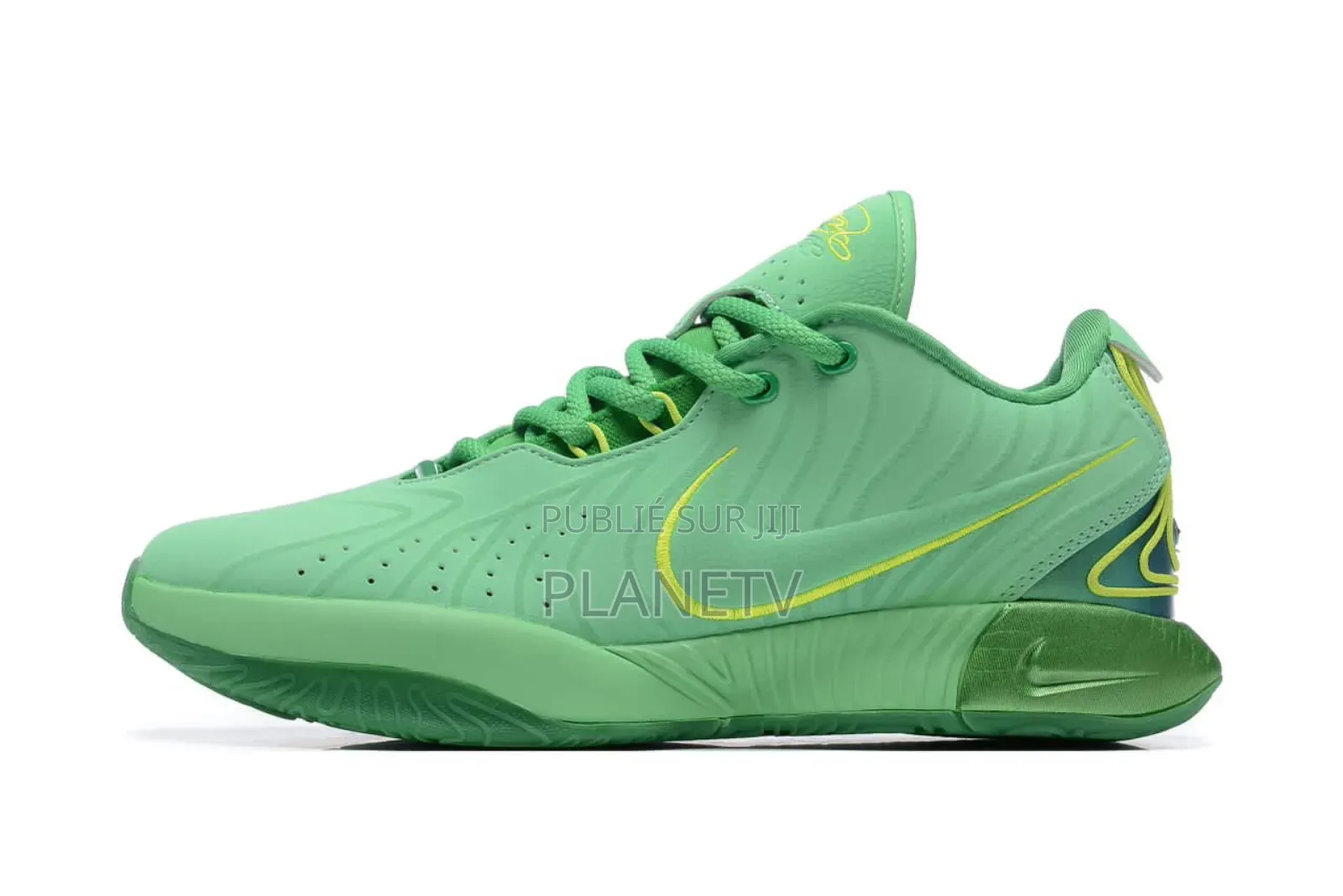 Lebron James 21 Multi Color Ds