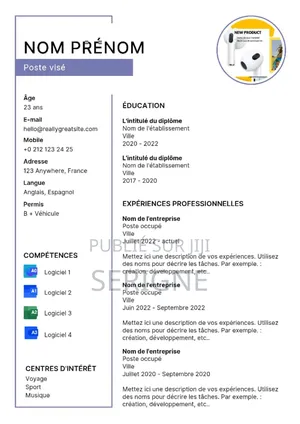 CV De Consultation