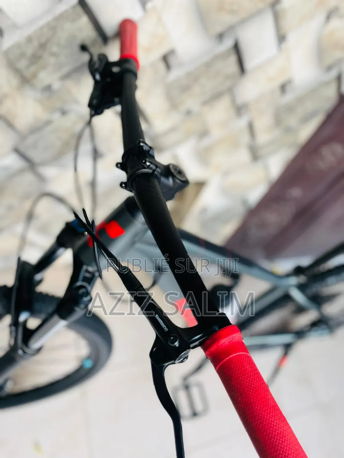Vélo VTT Cube Analog V12