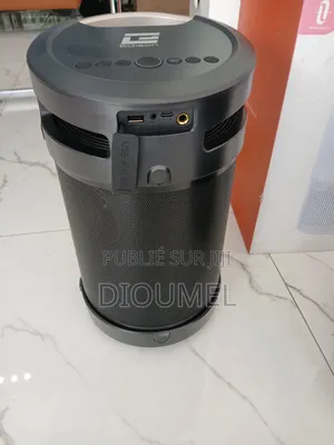 Haut Parleur Bluetooth Professionnel Edison