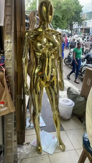 Photo - Manequin Argenté