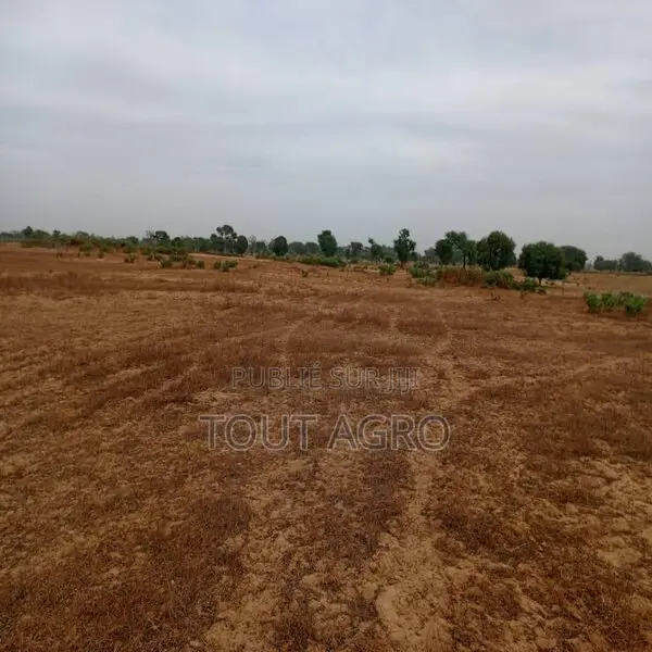 Terrain De 7783 M2 Vers Tassette