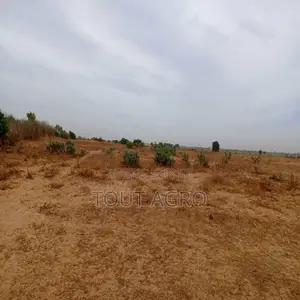 Terrain De 7783 M2 Vers Tassette