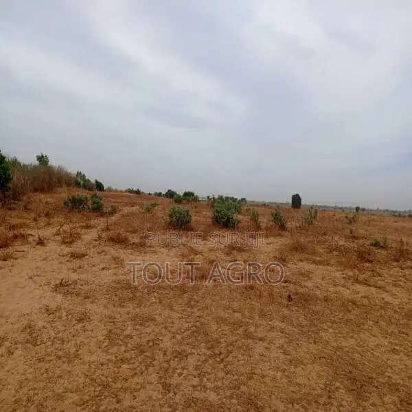 Terrain De 7783 M2 Vers Tassette