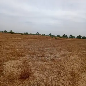 Terrain De 7783 M2 Vers Tassette