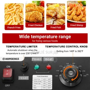 Friteuse Électrique 6L Automatique Acier Inoxydable.