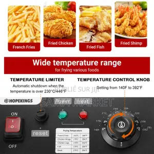 Friteuse Électrique 6L Automatique Acier Inoxydable.