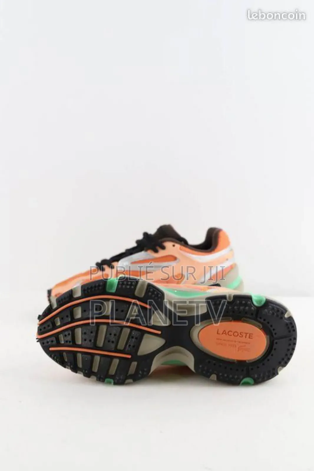 Truning Lacoste Original Kd