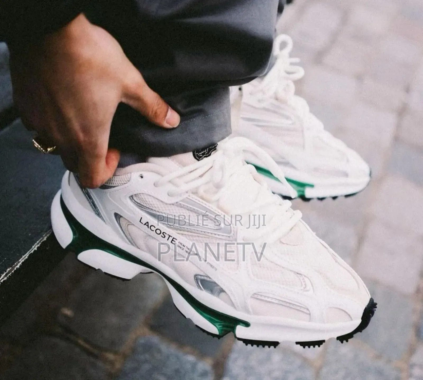 Truning Lacoste Original Kd