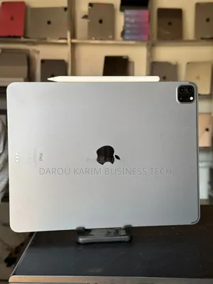 New Apple iPad Pro 11 (2024) 256 GO Autre