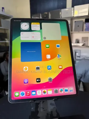 New Apple iPad Pro 11 (2024) 256 GO Autre