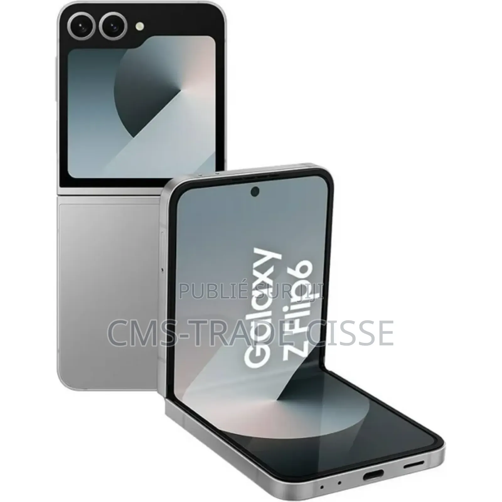 Samsung Galaxy Z Flip6 256 GB Gris