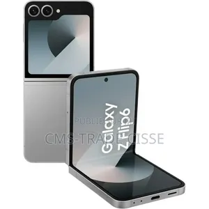 Samsung Galaxy Z Flip6 256 GB Gris